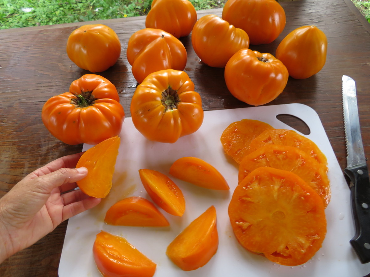 tomate orange strawberry