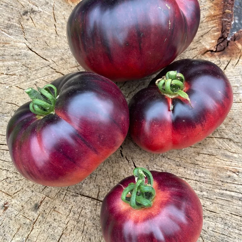 tomate amethyst heart