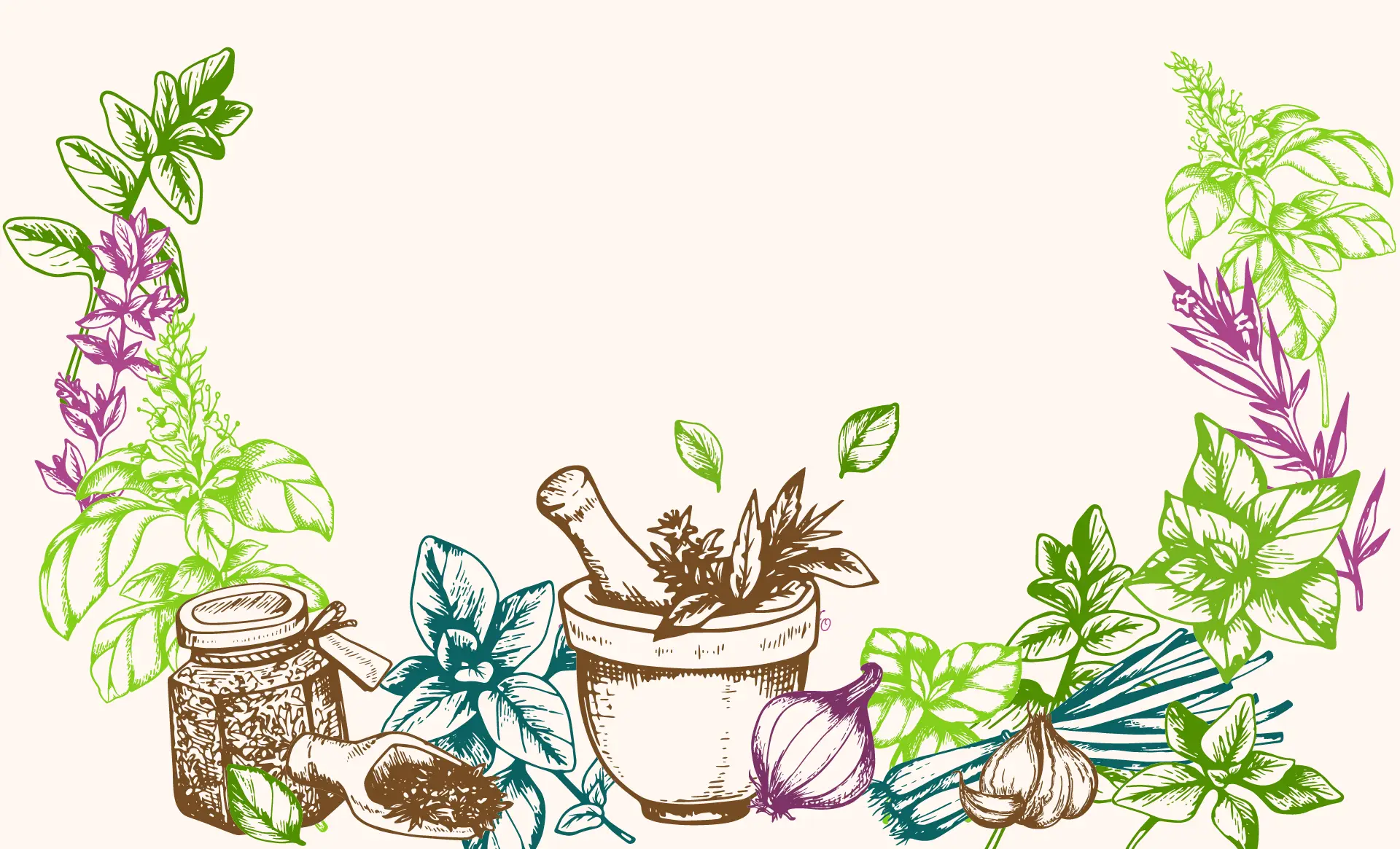 Les plants de Caro et Jo