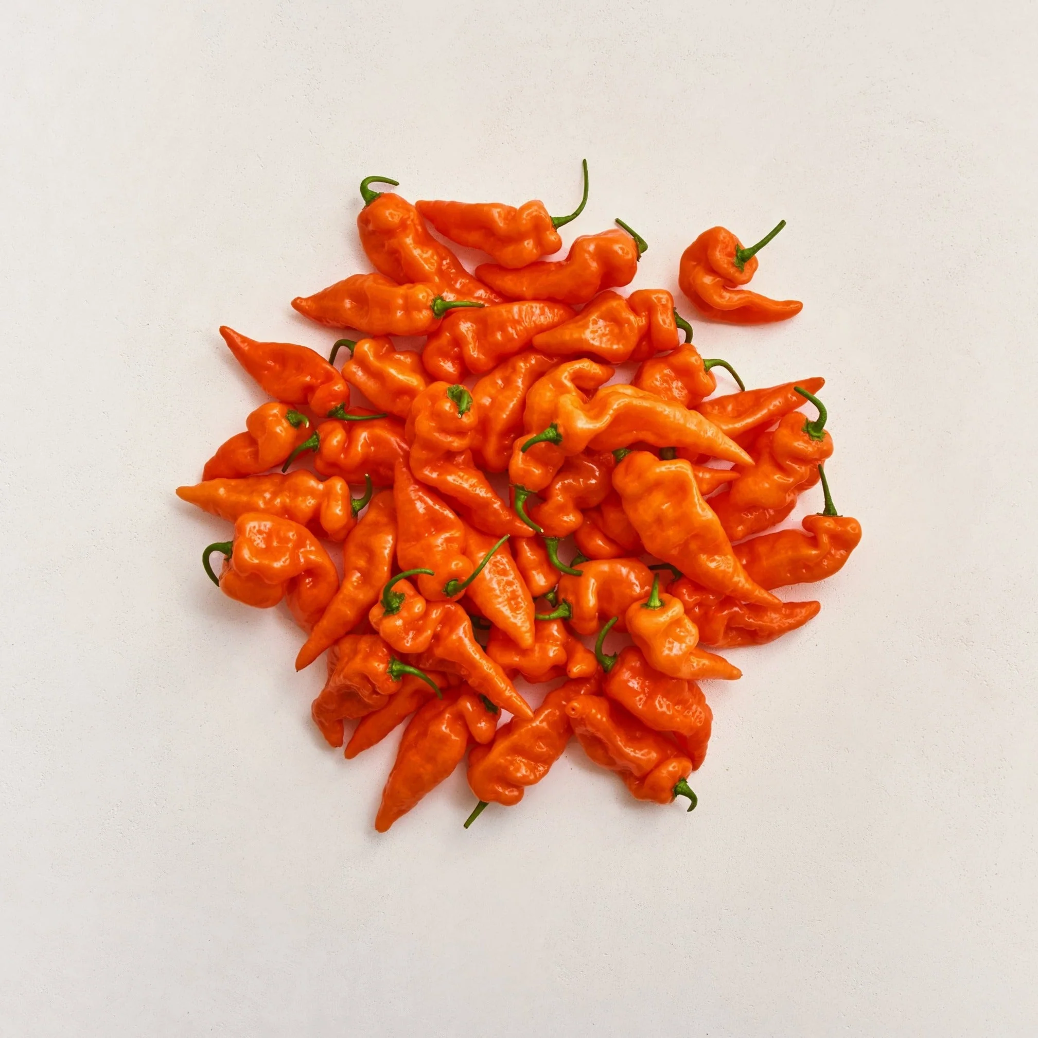 piment habanada