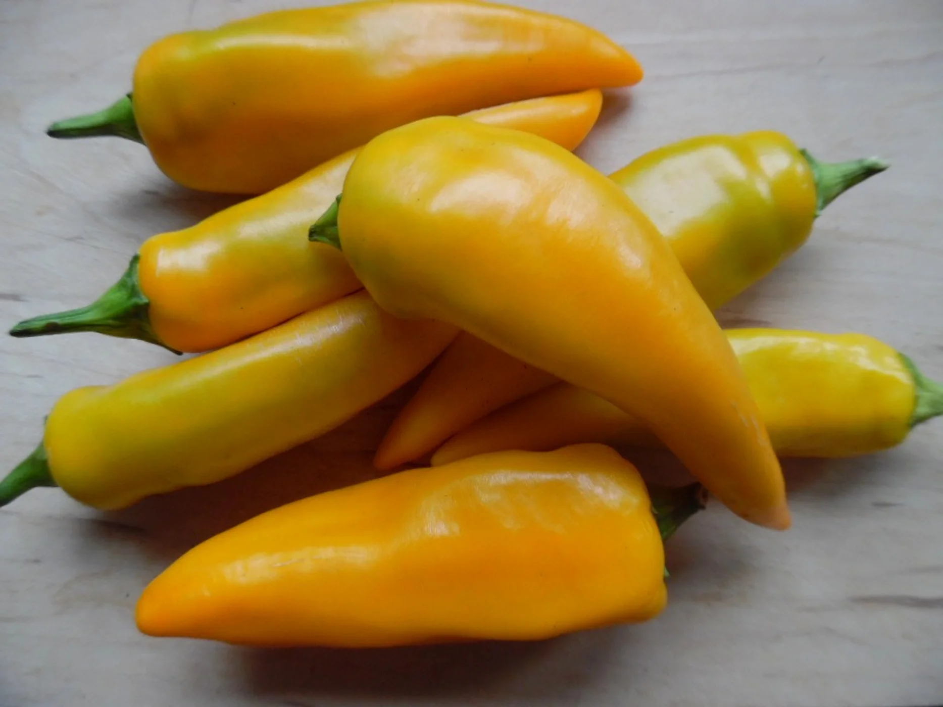 poivron tequila sunrise