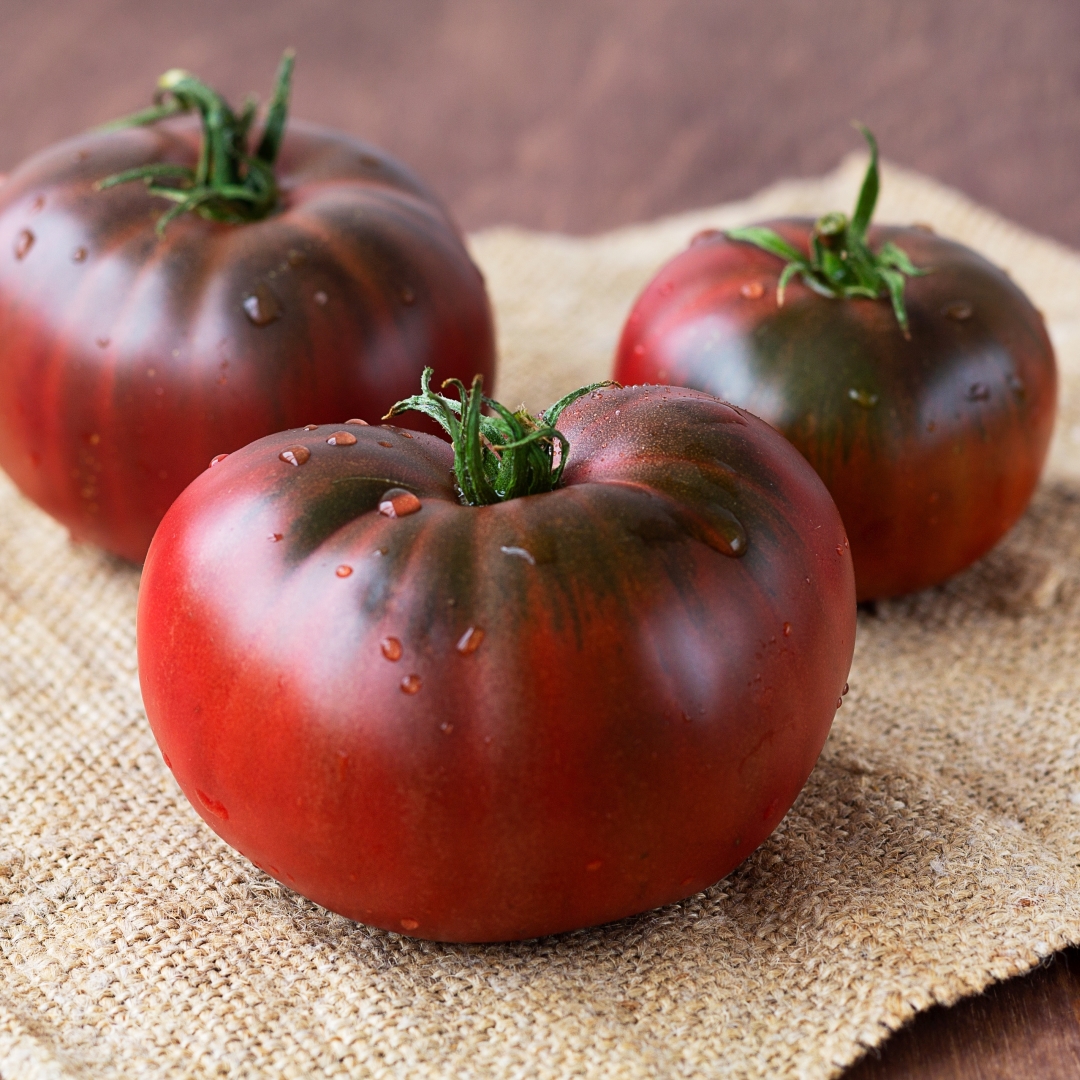 tomate cherokee purple