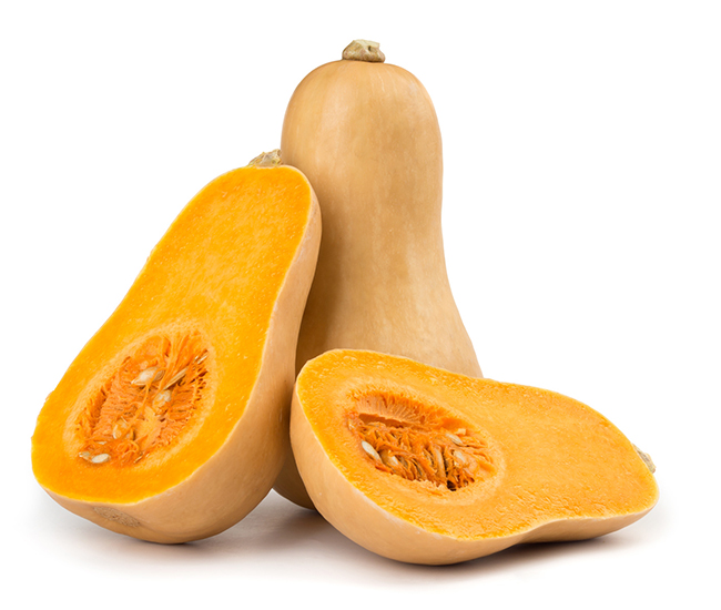 Plant de courge Butternut